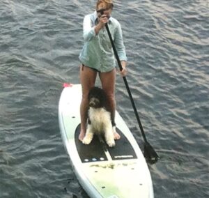dog on paddleboard