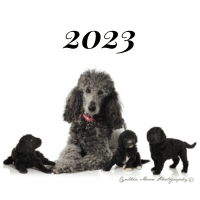 2023 gallery thumbnail